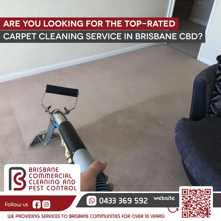 Are you looking for the top-rated carpet cleaning service in Brisbane CBD